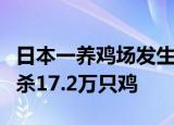 日本一养鸡场发生高致病性禽流感疫情，将扑杀17.2万只鸡