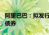 阿里巴巴：拟发行26.5亿美元和170亿人民币债券