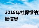 2019年社保缴纳费用详解：你需要知道的关键信息