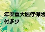 年度重大医疗保险费用解析：了解一年需要支付多少